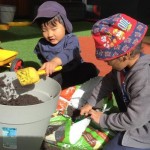 Learning to Care for the Environment on National Tree Day