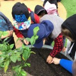 Learning to Care for the Environment on National Tree Day