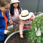 Learning to Care for the Environment on National Tree Day