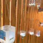 Learning to Care for the Environment on National Tree Day