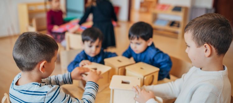 oz-education-auburn-750x333 Oz Education Auburn